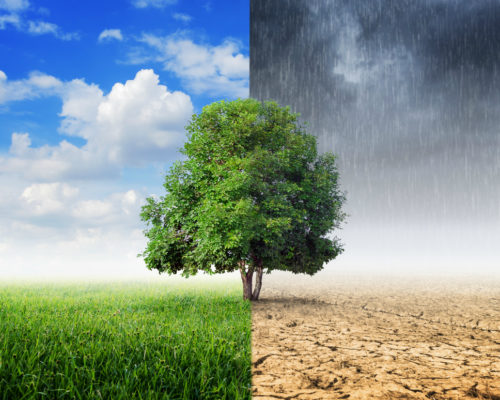 cllimate_1